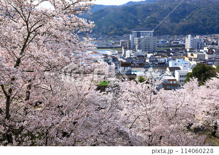 桜満開の鶴山公園から見た津山市市街地風景 114060228