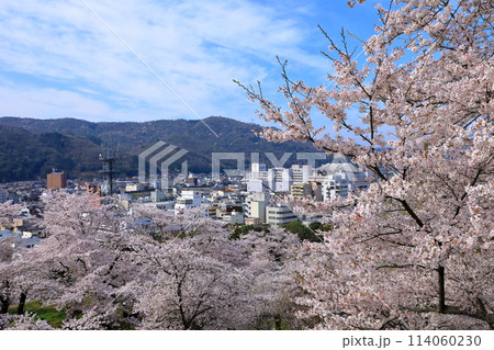 桜満開の鶴山公園から見た津山市市街地風景 桜満開の鶴山公園から見た津山市市街地風景 114060230