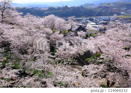 桜満開の鶴山公園から見た津山市市街地風景 114060232