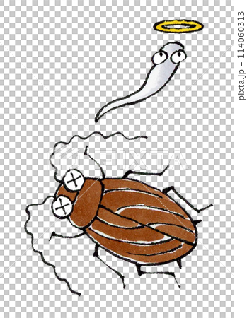 死蟑螂 死蟑螂 114060313