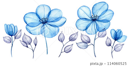 watercolor set of transparent flowers and leaves. transparent blue flowers in pastel colors. elements isolated on white background. design for wedding 114060525