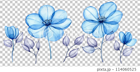 watercolor set of transparent flowers and leaves. transparent blue flowers in pastel colors. elements isolated on white background. design for wedding 114060525