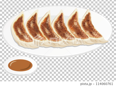 Chinese food_fried dumplings 114060761