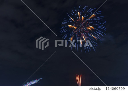 さいたま市政令都市20周年記念花火大会　埼玉県 114060799