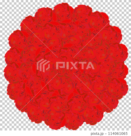Illustration of a round carnation Illustration of a round carnation 114061065