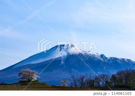 岩手県八幡平いないの一本桜と岩手山と青空と登る雲 岩手県八幡平いないの一本桜と岩手山と青空と登る雲 114061103