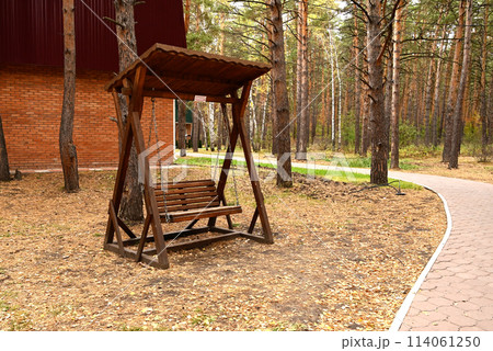 Wooden swing in the autumn forest. The concept of recreation. Autumn landscape. 114061250