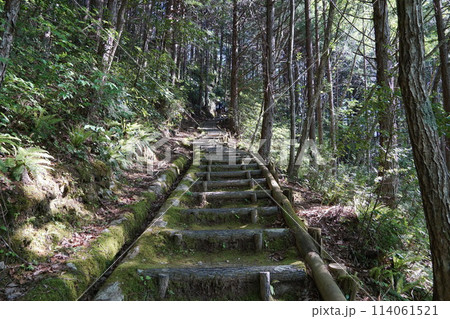 高根城 城へつながる道 高根城 城へつながる道 114061521