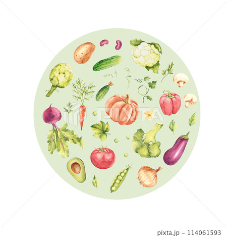 Watercolor vegetables set in a green circle. Healthy food hand drawn illustration in vintage style. For cards, posters and logo or emblem. 114061593