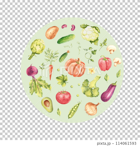 Watercolor vegetables set in a green circle. Healthy food hand drawn illustration in vintage style. For cards, posters and logo or emblem. 114061593