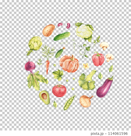 Watercolor vegetables set in a circle. Cucumber, tomato and avocado, paprika. Kidney beans, potato and onion, eggplant, champignon mushrooms and parsley plant. Broccoli and cauliflower. Artichoke and Watercolor vegetables set in a circle. Cucumber, tomato and avocado, paprika. Kidney beans, potato and onion, eggplant, champignon mushrooms and parsley plant. Broccoli and cauliflower. Artichoke and 114061596