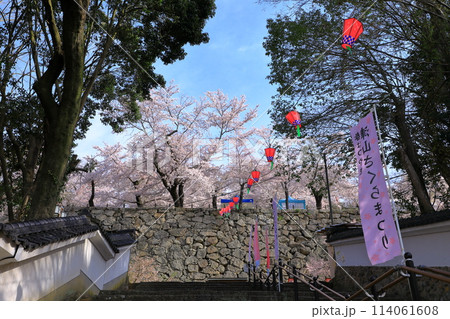 鶴山公園　津山さくらまつり 114061608