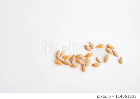 まくわうりの種 まくわうりの種 114061835