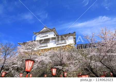 津山城 備中櫓と満開の桜 津山城 備中櫓と満開の桜 114062023