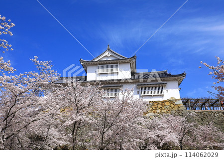 津山城　備中櫓と満開の桜 114062029