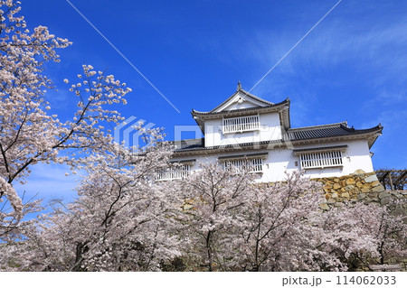 津山城 備中櫓と満開の桜 津山城 備中櫓と満開の桜 114062033