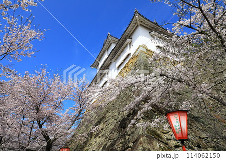 津山城 備中櫓と満開の桜 津山城 備中櫓と満開の桜 114062150