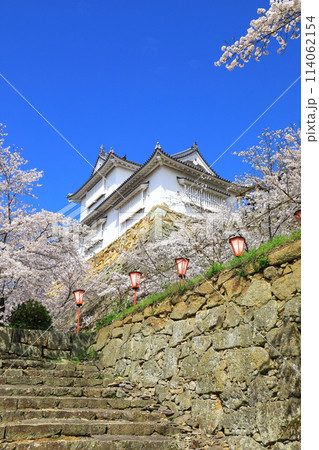 津山城　備中櫓と満開の桜 114062154
