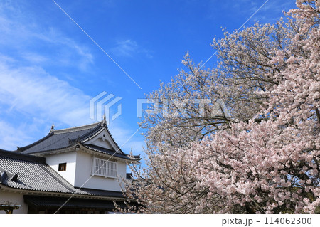 津山城 備中櫓と満開の桜 津山城 備中櫓と満開の桜 114062300