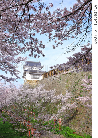 津山城　備中櫓と満開の桜 114062416