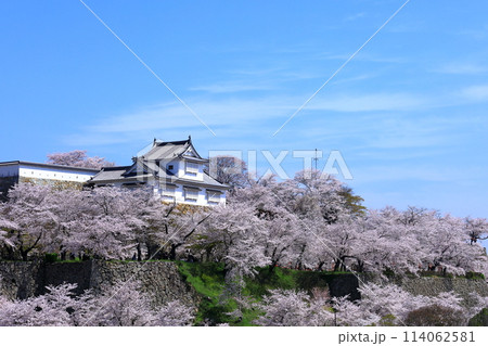 津山城 備中櫓と満開の桜 津山城 備中櫓と満開の桜 114062581