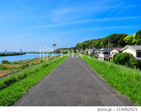 初夏の青空が広がる江戸川堤 初夏の青空が広がる江戸川堤 114062625