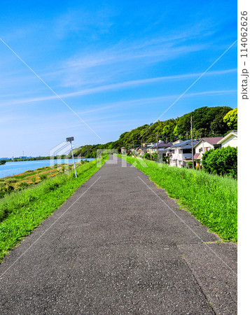 初夏の青空が広がる江戸川堤 初夏の青空が広がる江戸川堤 114062626