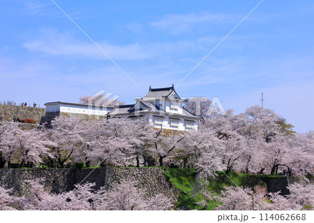 津山城　備中櫓と満開の桜 114062668