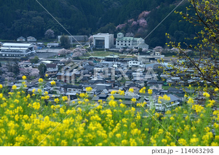 天空の菜の花畑とアンパンマンミュージアム遠望（高知県香美市香北町有瀬） 114063298