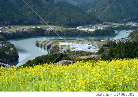 天空の菜の花畑と物部川2　（高知県香美市香北町有瀬） 114063303