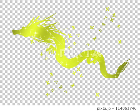 花と金色の龍 114063746