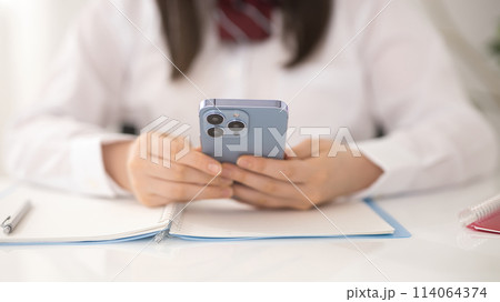 スマホで検索しながら勉強する女子高生 スマホで検索しながら勉強する女子高生 114064374