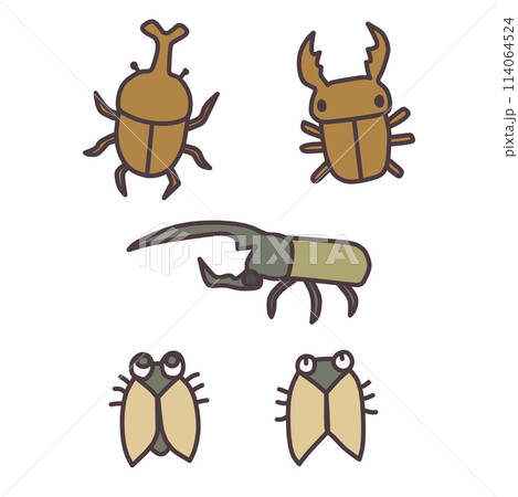 夏をイメージした、カブトムシやクワガタ、蝉などの虫のデフォルメイラストセット 114064524