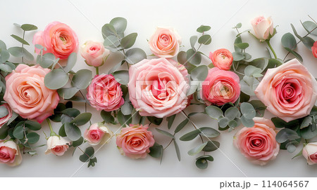 Group of Pink Roses With Green Leaves 114064567