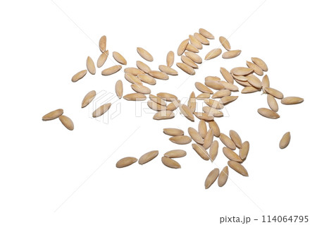 Dry cucumber seeds on a white background. Dry cucumber seeds on a white background. 114064795