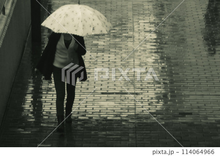 雨の日の通行人 雨の日の通行人 114064966