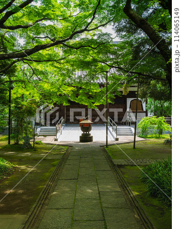 東京 調布市 大正寺 東京 調布市 大正寺 114065149