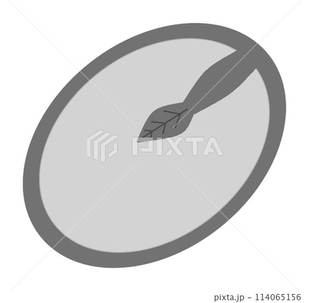 カキの種子の断面 114065156