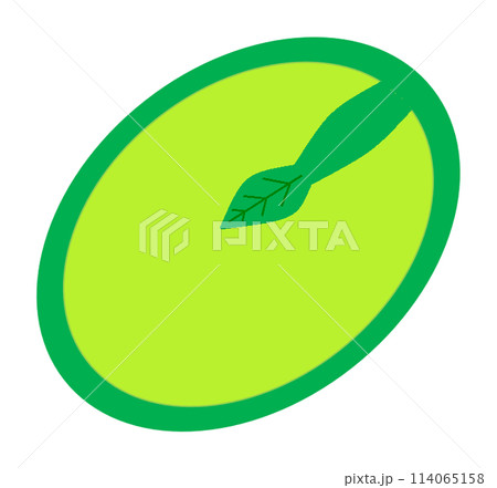 カキの種子の断面 114065158