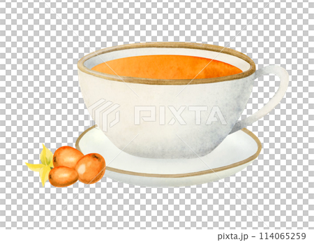 Sea buckthorn orange tea in white ceramic cup and saucer and Hippophae berries watercolor illustration isolated on white background. Hot herbal drink for healthy breakfast Sea buckthorn orange tea in white ceramic cup and saucer and Hippophae berries watercolor illustration isolated on white background. Hot herbal drink for healthy breakfast 114065259