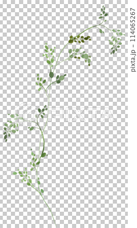 Watercolor tiny twig with green leaves isolated illustration, botanical wedding element 114065267