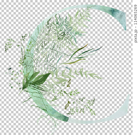 Green letter C with Watercolor whimsical tender leaves isolated illustration, wedding element 114065269