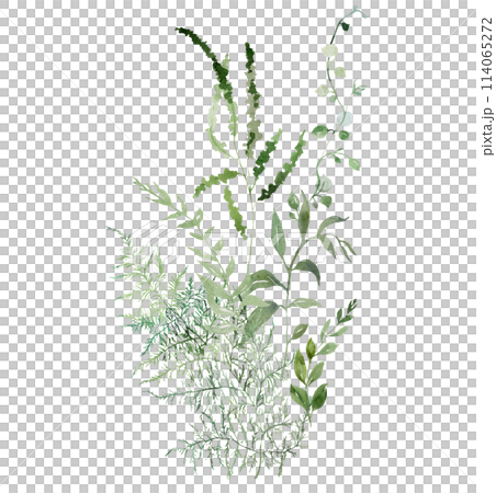 Bouquet with Watercolor fragile stems and tiny green leaves isolated illustration, botanical wedding 114065272