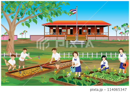 Thailand students plant vegetable in front of school building  114065347