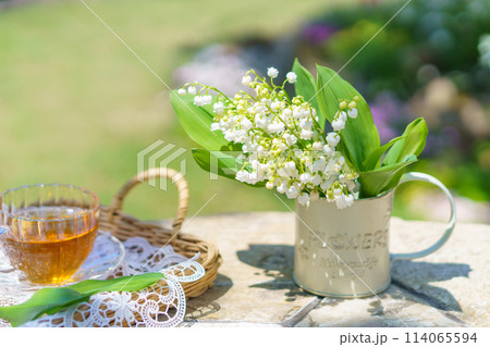 庭から摘んだすずらんとハーブティー 庭から摘んだすずらんとハーブティー 114065594