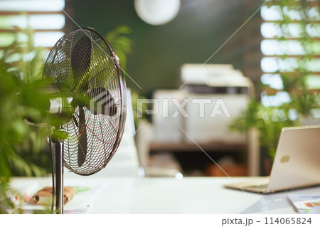 electric fan in modern green office 114065824