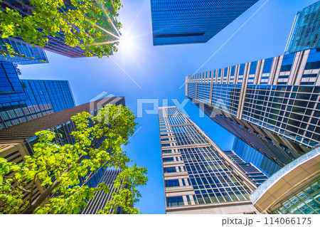 日本の東京都市景観 大手町ファーストスクエアや太陽光、オフィスビル群などを望む 日本の東京都市景観 大手町ファーストスクエアや太陽光、オフィスビル群などを望む 114066175