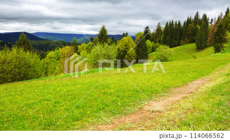 path through the grassy meadow path through the grassy meadow 114066562