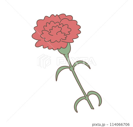 赤いカーネーション 赤いカーネーション 114066706