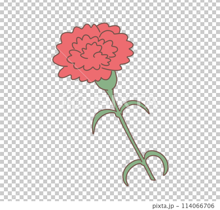 赤いカーネーション 赤いカーネーション 114066706